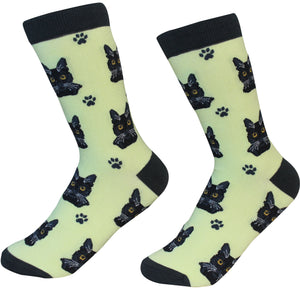 Black Cat Socks -200 Needle Count-Cotton Socks- Life Like Detail of Black Cat - Unisex, One Size Fits Most