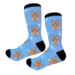 Tabby Orange Cat Socks
