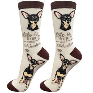 Chihuahua black Life is Better Socks