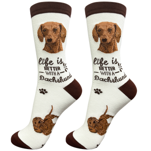 Dachshund red Life is Better Socks
